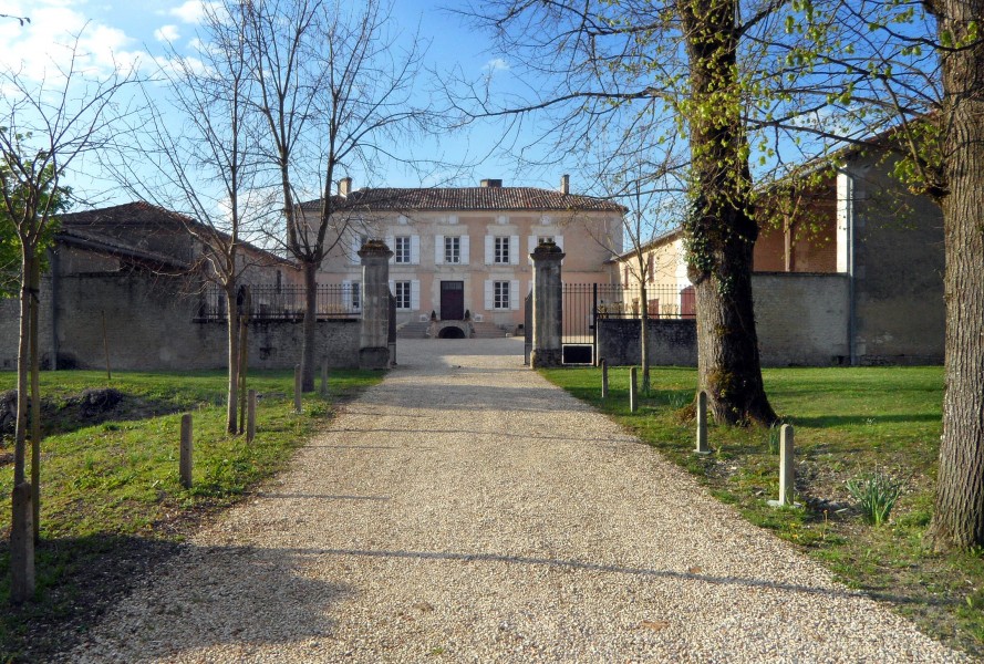 Chateau for sale in BARBEZIEUX ST HILAIRE Charente Immaculate