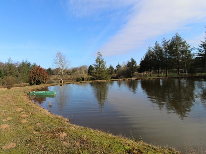 Lacs à vendre en Poitou Charentes Vienne LUSSAC LES CHATEAUX Deux