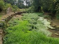 Maison à vendre à , Deux_Sevres, Poitou_Charentes, avec Leggett Immobilier