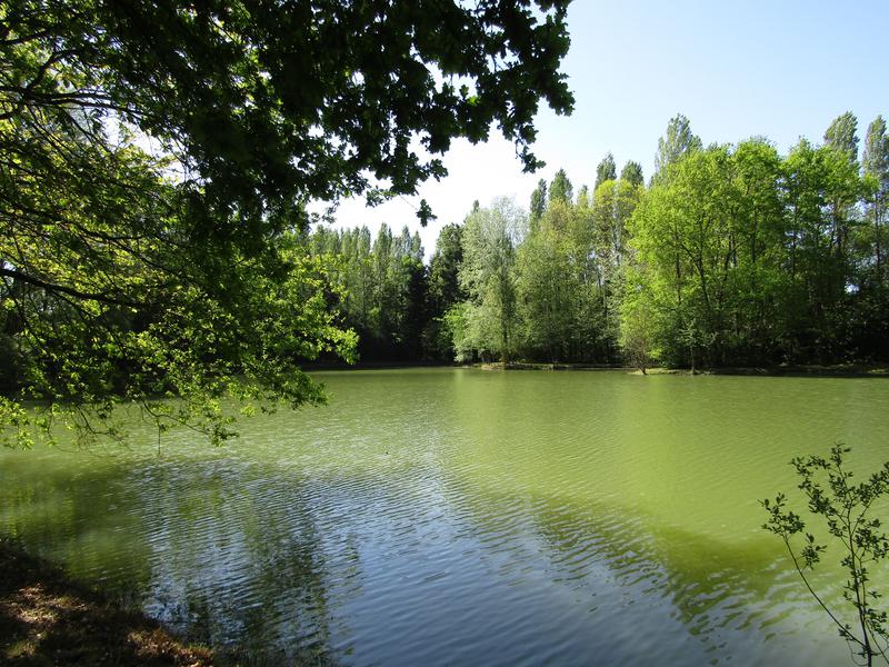 Lake for sale in ORGERES Ille et Vilaine Lovely Fishing lake of