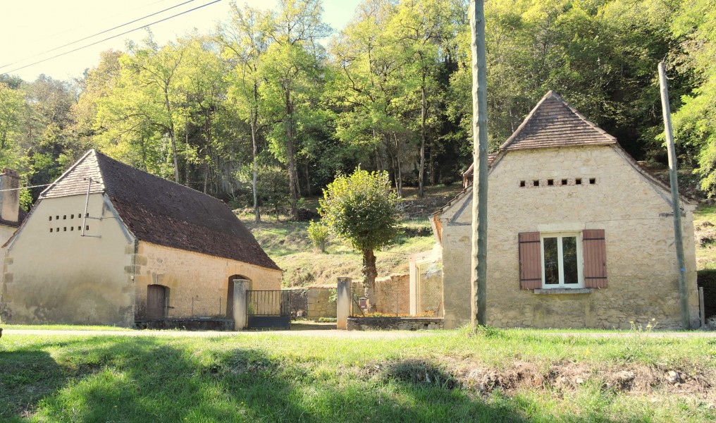 Maison à vendre en Aquitaine Dordogne ST LEON SUR VEZERE Périgord
