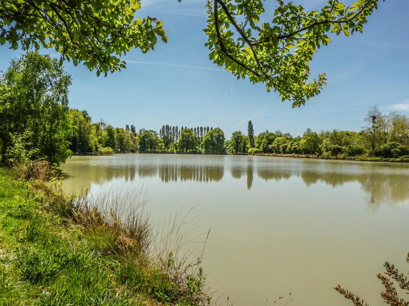 Bois Forêt étang à Vendre Dans Le 41