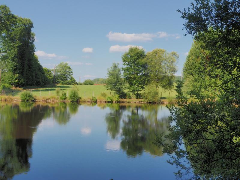Lake for sale in ST PARDOUX LA RIVIERE Dordogne Single story wooden