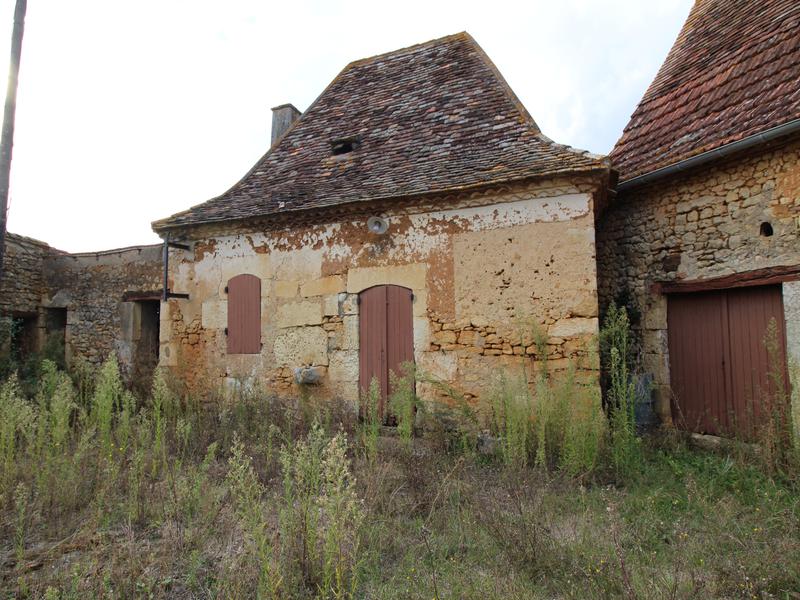 House for sale in STE FOY DE LONGAS Dordogne A property for lovers
