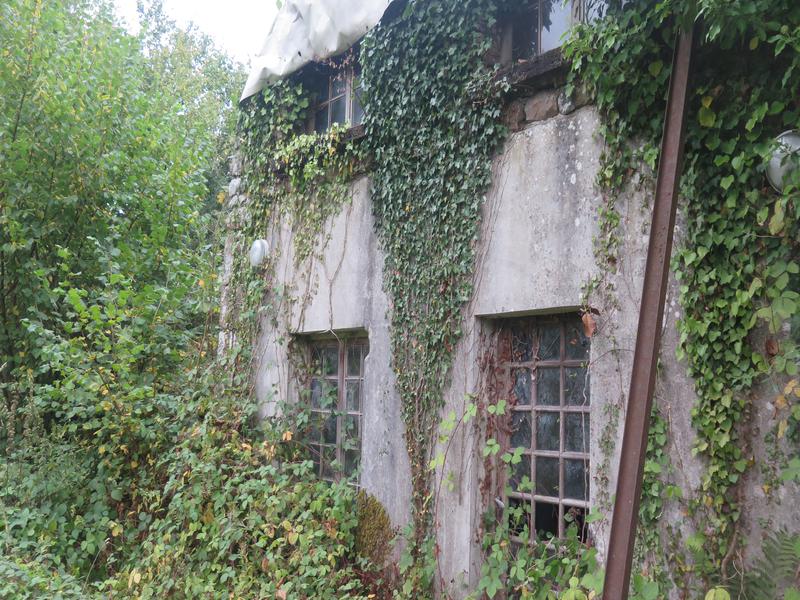 House for sale in STE HONORINE LA GUILLAUME Orne A derelict